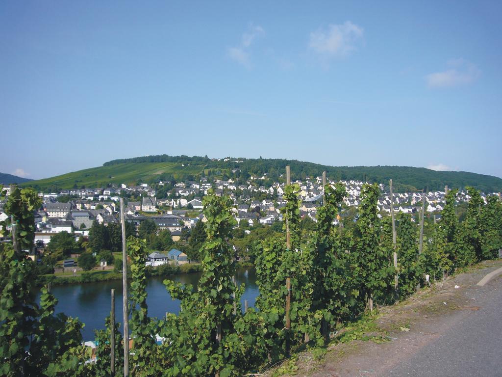 Christiana'S Wein & Art Hotel Bernkastel-Kues Dış mekan fotoğraf