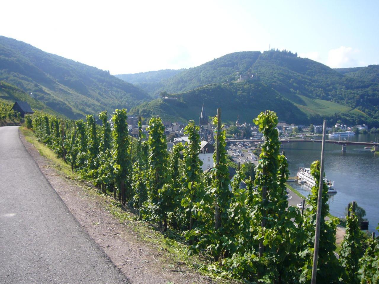 Christiana'S Wein & Art Hotel Bernkastel-Kues Dış mekan fotoğraf